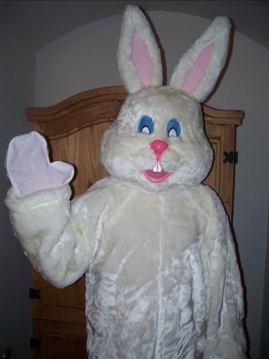 easter bunny for hire in the greater houston area